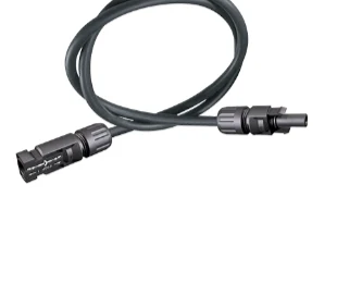 24in 10 AWG MC4 Extension Cable